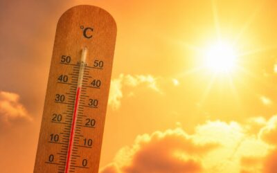 Canicula poate crește riscul cardiac chiar și la persoane sănătoase, iar decesele provocate de căldură au urcat cu peste 50%