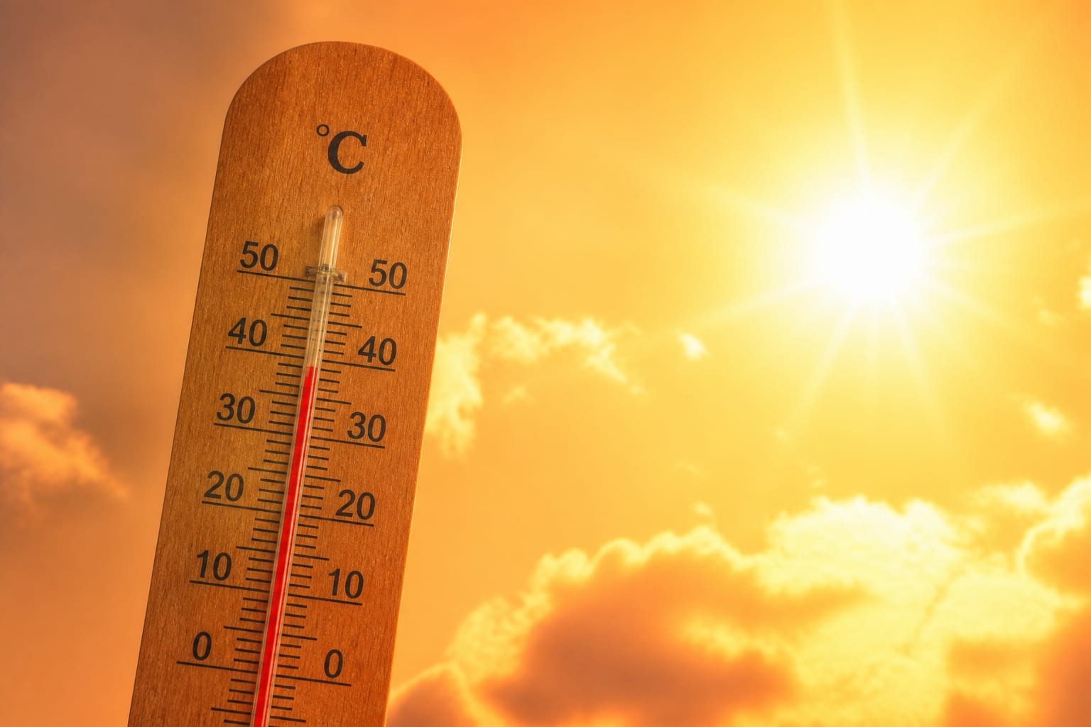 Canicula poate crește riscul cardiac chiar și la persoane sănătoase, iar decesele provocate de căldură au urcat cu peste 50%