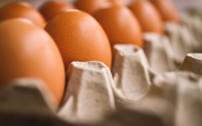 Cum se prepară ouăle umplute cu arome de salată Caesar, de la fierbere până la stratul crocant de pesmet
