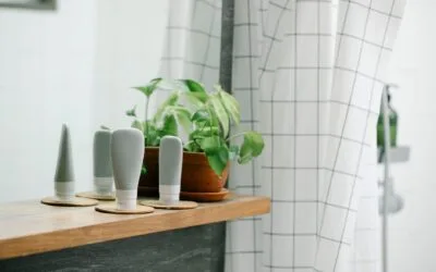Cum se aleg 5 plante pentru baie după lumină și spațiu. Ce condiție trebuie îndeplinită când lipsește fereastra