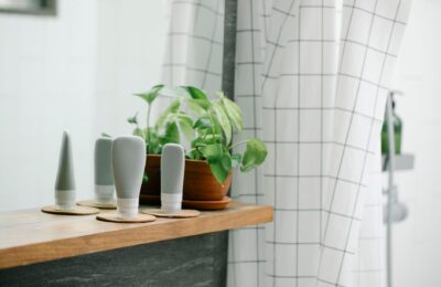 Cum se aleg 5 plante pentru baie după lumină și spațiu. Ce condiție trebuie îndeplinită când lipsește fereastra